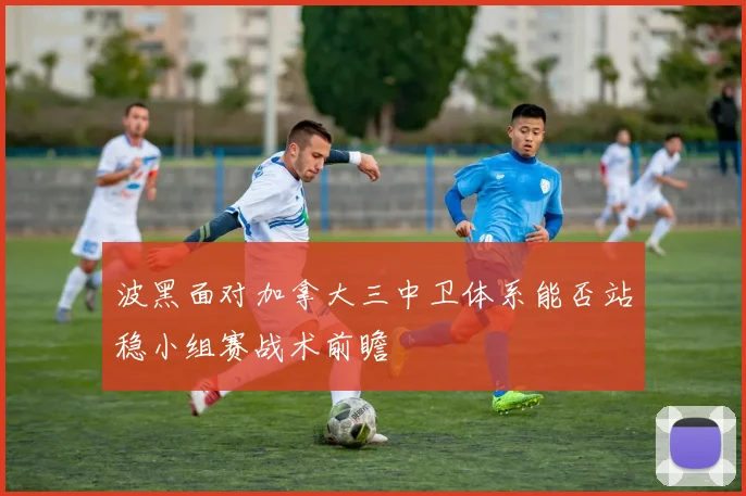 波黑面对加拿大三中卫体系能否站稳小组赛战术前瞻