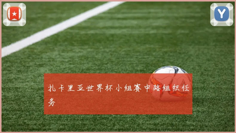 扎卡里亚世界杯小组赛中路组织任务