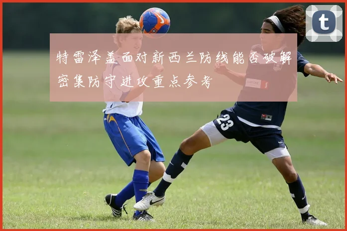 特雷泽盖面对新西兰防线能否破解密集防守进攻重点参考
